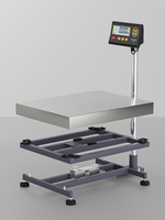 30kg-600kg Bench Platform Scale LCD Digital High Accuracy 0.1g Stainless Steel OEM/ODM Customizable Factory Made Instrument