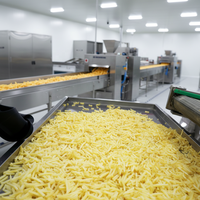 YaZhong Nieuwe Volledig Automatische Elektrische Fritesproductielijn RVS Commerciële Fruit- en Groentefriteuse Snackfabriek
