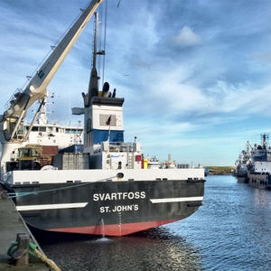 Service d'expédition maritime Amazon FBA |   Liquidation rapide + prix bas |   Livraison sans tracas - Product Image 6