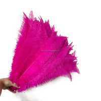 45 50 cm Vente en gros Costume de carnaval Décoration Nandu Plume d'autruche