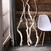 Tronc d'arbre blanc, branche orange, brindille sèche, fleur séchée pour décoration intérieure de fenêtre et accent de maison