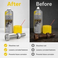 Protection Anti-Corrosion OEM 450ml – Spray Lubrifiant Dégrippant pour Moteur Automobile – Fabricant de Marque Privée