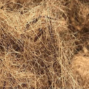 Fibre de coco de qualité exportée, fibre de coco forte et propre, parfaite pour les grossistes mondiaux et les acheteurs industriels - Product Image 1