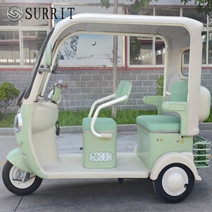 Cadeau pour les grands-parents : tricycle électrique pour passagers, batterie amovible, tricycle électrique pour personnes âgées, pour la mobilité des seniors - Product Image 2