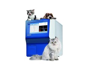 게테인 BHA-5000 수의학 자동 혈액 분석기 수의학 혈액 분석기 - Product Image 2