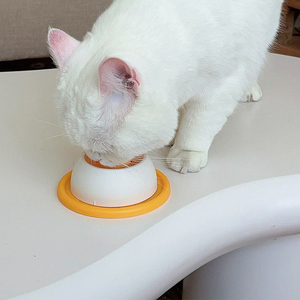 Ciotola Moderna per Gatti in Plastica Ecologica Yun, Design Arrotondato, Motivo Solido, Leggera, per Divertimento e Auto-Ideellazione, Resistente ai Morsi - Product Image 4