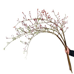 Branche de fruits artificielle Yunxi rouge, verte, orange en plastique pour décorations de fêtes, maison, salle d'exposition, restaurant - Product Image 5