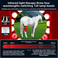 Terapia de Luz Roja para Patas de Caballo 660nm 850nm, Equipo de Terapia Equina, Envoltura Post-Entrenamiento para Caballos de Carreras, Equipo de Fisioterapia para Mascotas