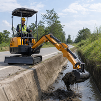 Mini Excavator 0.6t-4t, Excavator Kecil Beroda Karet untuk Ruang Sempit, Proyek Kebun dan Halaman Belakang
