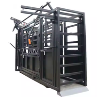 Échelles de chute de compression de bétail galvanisées automatiques résistantes modélisation 3D disponible équipement de ferme d'écrasement de bétail pour le bétail