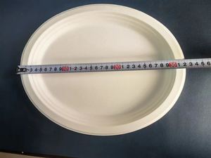 จานอาหารแบบใช้แล้วทิ้งสำหรับงานปาร์ตี้ชุดอุปกรณ์งานปาร์ตี้ที่ใช้งานง่าย - Product Image 6