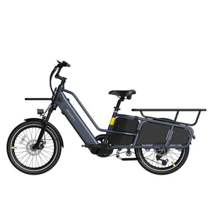 Bicicleta eléctrica de carga de neumáticos gordos para estante trasero, bicicleta eléctrica de carga potente para entrega de carga