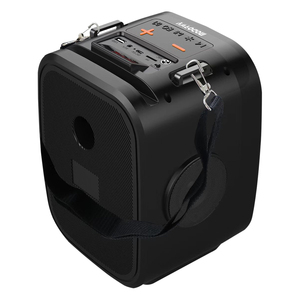 ลำโพงคาราโอเกะพร้อมไมโครโฟนไร้สาย <span class=keywords><strong>tf</strong></span>/usa/aux/fmic/tws/eq ลำโพง RGB Flame Lamp 2400mAh Li-Battery ลำโพง4นิ้ว - Product Image 2