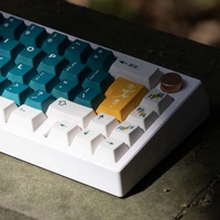 Clavier mécanique Daiyue Keycaps Cherry Profile Dye Sublimation 142 touches avec barre d'espace 6.25u 7u pour clavier mécanique à commutateurs MX 61 / 68 / 84
