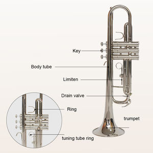 Çocuk bandı için profesyonel sınıf b-aşağı küçük boy trompet acemi enstrüman - Product Image 3