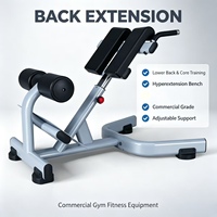 Chaise romaine professionnelle Dinuo de haute qualité pour entraînement de force, banc réglable 45 degrés pour abdominaux et hyperextension dorsale en métal