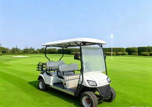 Carrito de Golf HUILING Inteligente de 2 Tiempos, Metálico, 5-6 Plazas, Batería de Plomo-Ácido, Motor de CA de 4KW, 30-40km/h, 90km de Autonomía, CE - Product Image 2