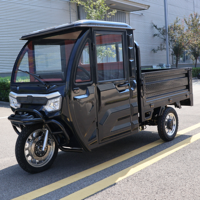 Elektrikli Motosiklet Elektrikli Scooter Tarzı 3 Tekerlekli Elektrikli Kargo Üç Tekerlekli Bisiklet Kapalı Kabinli EEC COC Sertifikalı 2000W