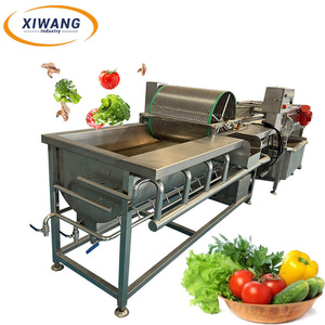 Automatic Ginger and Potato Washing Line Eddy Current Washing Equipment - Product Image 6