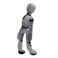 Wilderness Robot Merchandise Niedliche Plüschtiere Gefüllt mit PP-Baumwolle Anime & Film-Themen 0-24 Monate 31cm-50cm