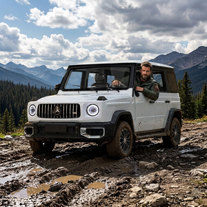 Vehículo SUV Todoterreno de 4 Puertas con Carrocería Totalmente Metálica, Eléctrico, para Desplazamientos Diarios y Aventuras al Aire Libre - Product Image 6