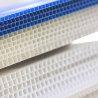 Vente en gros de feuilles de polypropylène Coroplast 4x8 Panneaux en plastique ondulé vierges Feuille Corex pour impression numérique Panneaux de signalisation Corflute pour l'extérieur