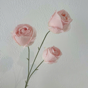 Arreglo Floral de Hortensias y Rosas Rosadas con Acabado de Seda, Accesorios para Bodas, Flores Artificiales para Hoteles, Auditorios y Exteriores - Product Image 4