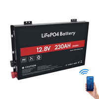 Baterai Lithium 12V 100Ah 120Ah 200Ah 300Ah 400Ah 600Ah Baterai Lithium 200 Ah Dengan Smart BMS