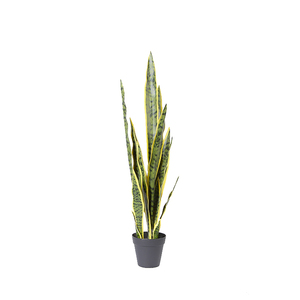 <span class=keywords><strong>Planta</strong></span> <span class=keywords><strong>de</strong></span> <span class=keywords><strong>Lengua</strong></span> <span class=keywords><strong>de</strong></span> Madre <span class=keywords><strong>de</strong></span> la Tierra Artificial Decorativa Personalizable <span class=keywords><strong>de</strong></span> 76 CM - Product Image 1