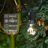 Guirlande lumineuse vintage en verre transparent, 25 pieds, en tungstène g40, pour décoration de vacances en plein air, vente en gros