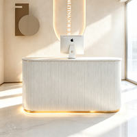 Comptoir de réception commercial personnalisable en bois moderne de luxe avec LED pour salon de beauté, spa, clinique ou bureau