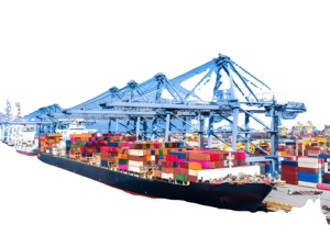 Tất cả các Trung Quốc để USA Door-to-DOOR lcl + <span class=keywords><strong>Express</strong></span> vận tải đường biển với DDP bao gồm Thủ Tục Hải quan và nhiệm vụ thanh toán bao gồm - Product Image 6