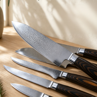 Ensemble de couteaux de cuisine en acier Damas, couteau de chef, couteau Santoku, couteau utilitaire, manche en bois coloré, lame tranchante pour la cuisine à domicile