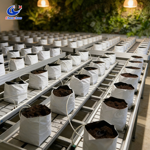 Mesa de Cultivo Hidropónico Vertical con Sistema de Flujo y Reflujo, Banco Rodante Premium para Cultivo Interior - Product Image 5