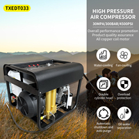 TUXING CE Offre Spéciale haute pression 4500Psi 300Bar 30Mpa Double cylindres usage domestique automatique plongée sous-marine compresseur d'air pour PCP