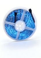 Bande LED RGB 5050 DC12V 30 LED/m Flexible à Changement de Couleur sur PCB, Longueur 100m, Contrôle Wi-Fi/IP33, Éclairage Intérieur