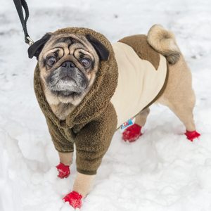 Thick Warm Winter Windproof <b>Hoodie</b> Thermal Coat Doggie Jacket Puppy Outfit <b>Dog</b> Clothes - Product Image 3