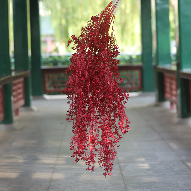 สีแดง