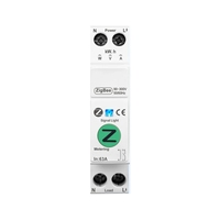Disjoncteur intelligent Tuya Zigbee 63A AC 1P avec télécommande, relais de mesure d'énergie 220V, interrupteur intelligent MCB pour pompe à eau