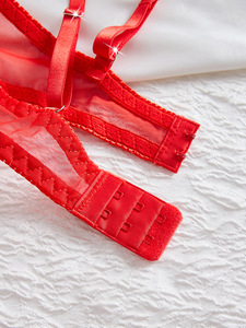Conjunto de lencería de encaje con bordado de rosas y corazones, sujetador con aros y tanga de malla transparente, conjunto de ropa interior francesa transparente. - Product Image 6
