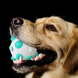Jouet à mâcher pour chien de haute qualité, écologique, durable, pour chiot, bâton à mâcher pour nettoyer les dents, balle à mâcher pour animaux de compagnie - Product Image 4