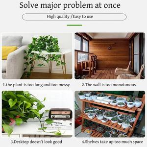 Accessoires pour plantes Support de vigne Treillis mural pour Monstera Pothos Hoyas Ivy Morning Glory - Product Image 4