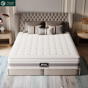 Sang Trọng Euro Khách Sạn Hàng Đầu Colchones Vừa Hôn Nhân Dây Kéo Bìa Nệm Đôi Kích Thước Giường Với Nệm - Product Image 1