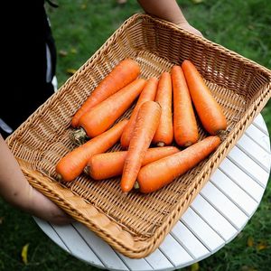 Cesti per Pane in Plastica Yulin Jiafu, Cesti per Pane da <span class=keywords><strong>Tavola</strong></span>, Cesto Espositivo per Frutta, Cucina - Product Image 6