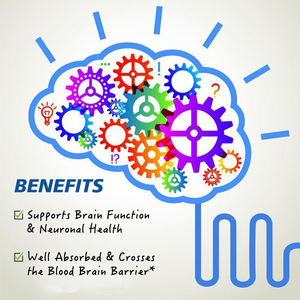Capsules OEM Alpha-GPC : Complément de choline pour soutenir la fonction cérébrale et la santé neuronale - Product Image 4