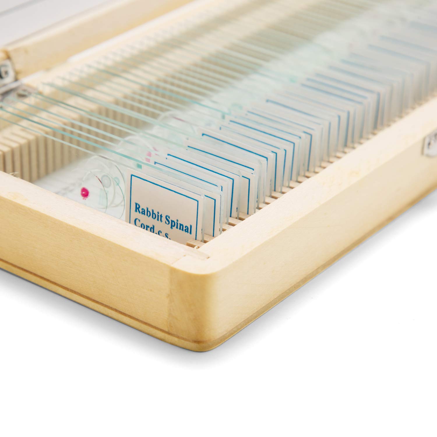 3D медицинские анатомические настенные таблицы/плакат 3d настольный плакат