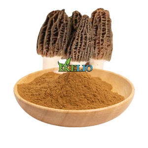 Extrait de champignon Morchella Esculenta en vrac – Poudre d'extrait de Morchella Esculenta - Product Image 1