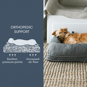 Nuevo diseño, soporte ortopédico, cama para perros lavable entera, aumento del flujo de aire, cama transpirable para perros - Product Image 2