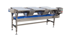 Vendita Diretta dalla Fabbrica, Tavoli di Smistamento Personalizzabili a Quattro o Sei Postazioni per la Lavorazione di Frutta e Verdura - Product Image 3