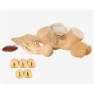 F50 tiên tiến giao hàng kỹ năng manikin PVC được sử dụng cho cơ bản sản khoa đào tạo kỹ thuật cho y tá y tế trường học cho bệnh viện - Product Image 1